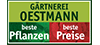 Gärtnerei Oestmann Inh. Frank Oestmann